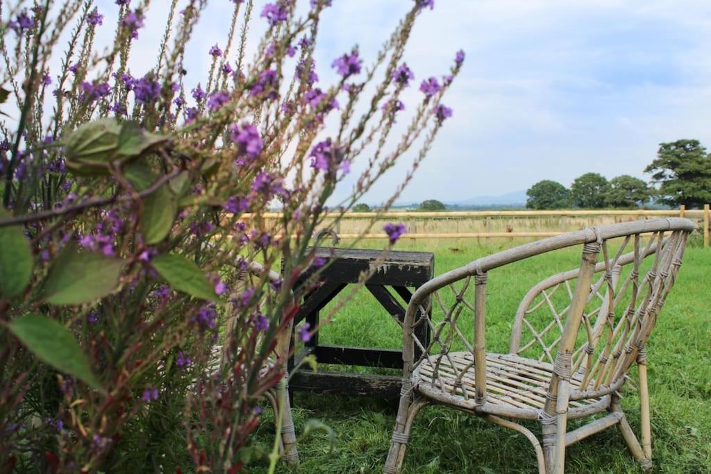 Glamping The Shepherds Hut *